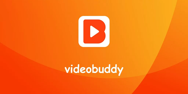 video-buddy